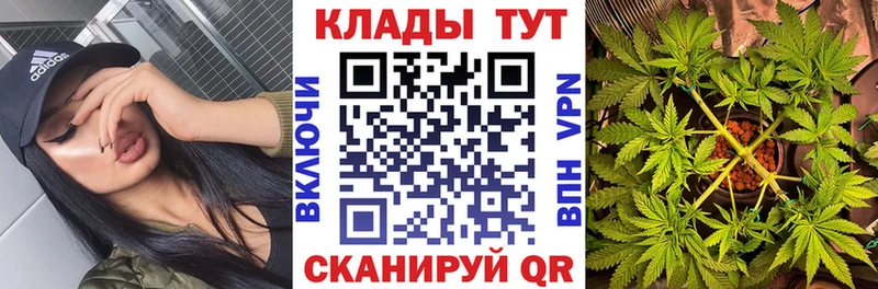 Названия наркотиков Петровск A PVP Cocaine Меф мяу мяу МАРИХУАНА Амфетамин Бутират Гашиш